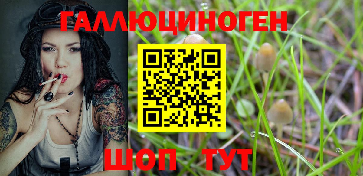 наркота  Вход с VPN  Псилоцибиновые грибы Cubensis  Улан-Удэ  Псилоцибиновые грибы MAGIC MUSHROOMS 